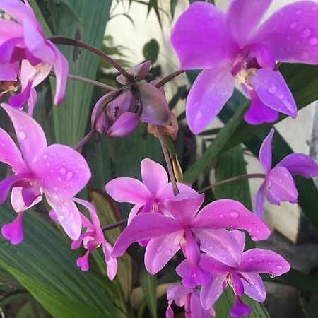 Homestay Vuon Nhan เปลกู ภายนอก รูปภาพ